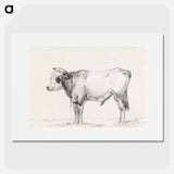 Standing young bull - ジャン ベルナール Poster.