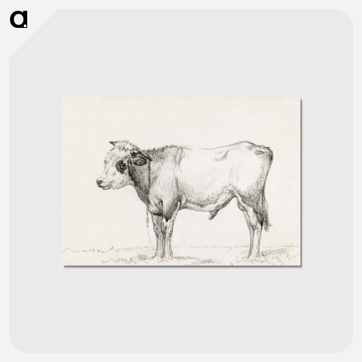 アートポストカード-Standing young bull - ジャン ベルナール Postcard.