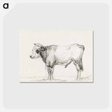 アートポストカード-Standing young bull - ジャン ベルナール Postcard.