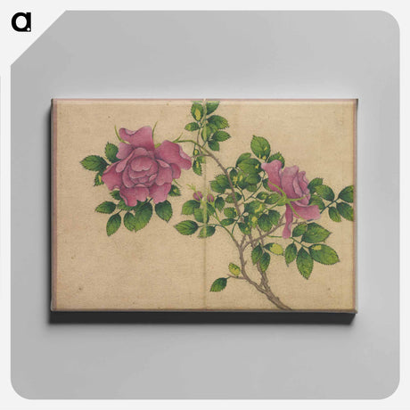 アートパネル-Rose
 - クリーブランド美術館 Canvas.