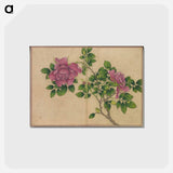 アートポストカード-Rose
 - クリーブランド美術館 Postcard.