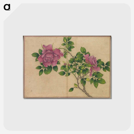 アートポストカード-Rose
 - クリーブランド美術館 Postcard.