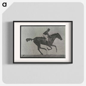 アートポスター-Galloping Horse and Rider
 - エドワード マイブリッジ Poster.