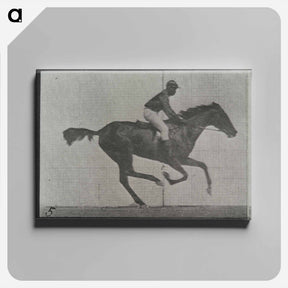 アートパネル-Galloping Horse and Rider
 - エドワード マイブリッジ Canvas.