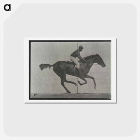 アートポストカード-Galloping Horse and Rider
 - エドワード マイブリッジ Postcard.