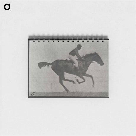 アートメモ帳-Galloping Horse and Rider
 - エドワード マイブリッジ Memo.