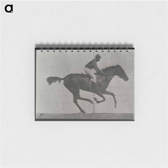 アートメモ帳-Galloping Horse and Rider
 - エドワード マイブリッジ Memo.