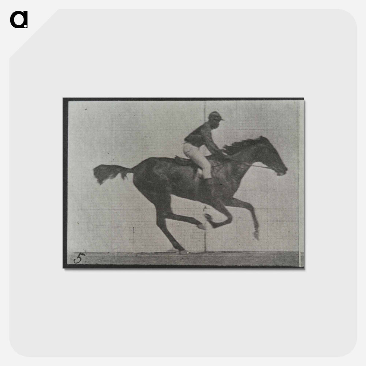 アートポストカード-Galloping Horse and Rider
 - エドワード マイブリッジ Postcard.
