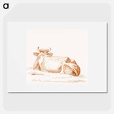 Lying cow, seen from behind - ジャン ベルナール Poster.