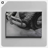 アートパネル-Views of National Institutes of Health Buildings and Grounds
 - 国立医学図書館 Canvas.