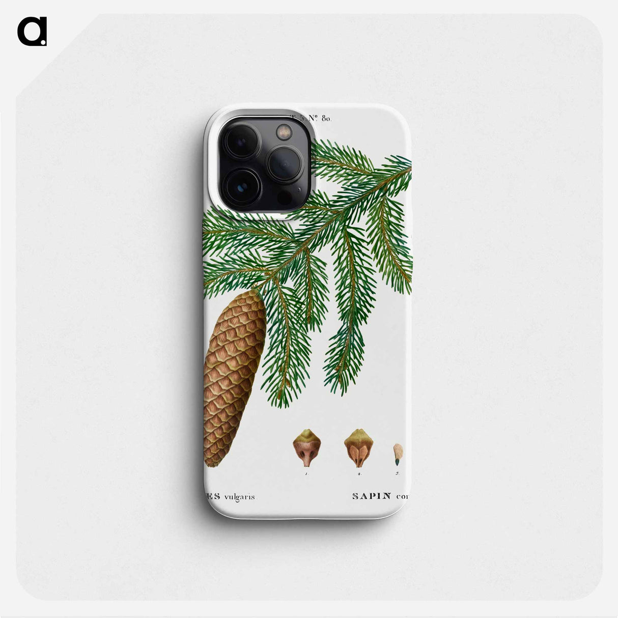 Norway spruce, Abies vulgaris - Pierre Joseph Redouté Phone Case.