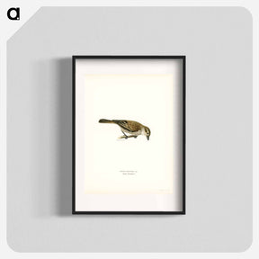 アートポスター-Red-backed Shrike Female
 - スヴェンスカ フォグラル Poster.