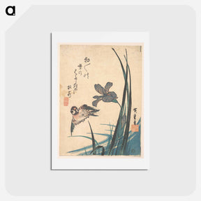 アートポストカード-Iris and Sparrow
 - 歌川 広重 Postcard.