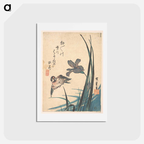 アートポストカード-Iris and Sparrow
 - 歌川 広重 Postcard.