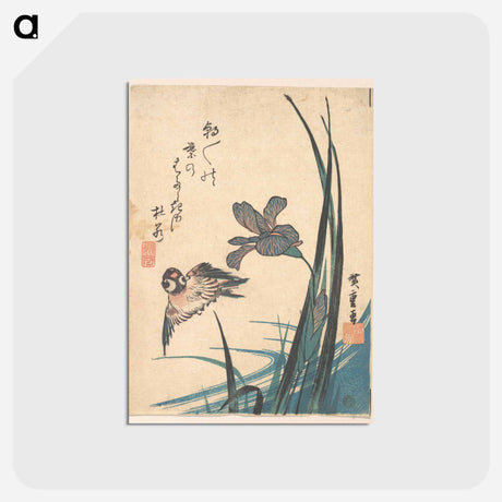 アートポストカード-Iris and Sparrow
 - 歌川 広重 Postcard.