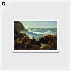 アートポストカード-Sea Lions, Farallon Islands - アルバート ビアスタット Postcard.