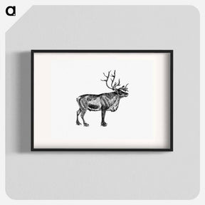 アートポスター-Wild European Reindeer
 - 大英図書館 Poster.
