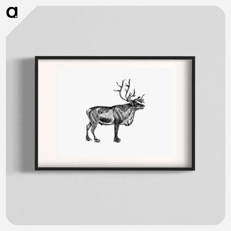 アートポスター-Wild European Reindeer
 - 大英図書館 Poster.