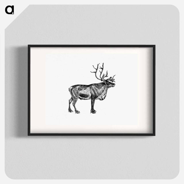 アートポスター-Wild European Reindeer
 - 大英図書館 Poster.