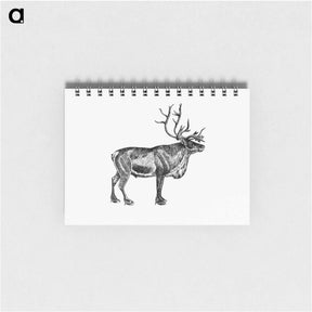 アートメモ帳-Wild European Reindeer
 - 大英図書館 Memo.