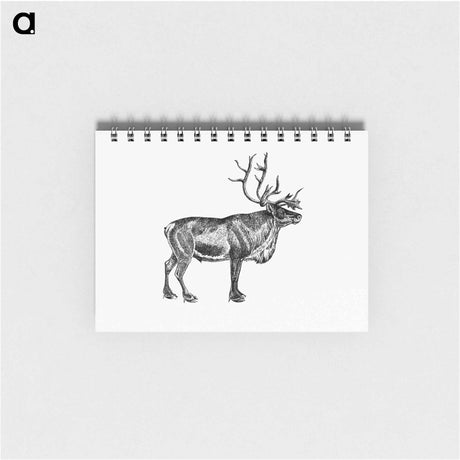 アートメモ帳-Wild European Reindeer
 - 大英図書館 Memo.