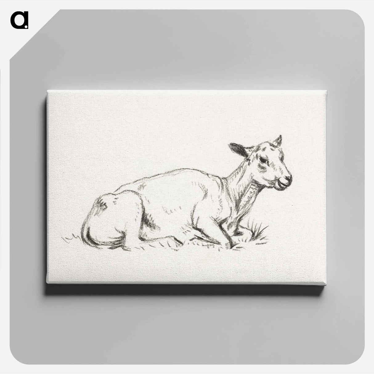 アートパネル-Lying shaved sheep - ジャン ベルナール Canvas.