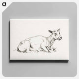アートパネル-Lying shaved sheep - ジャン ベルナール Canvas.