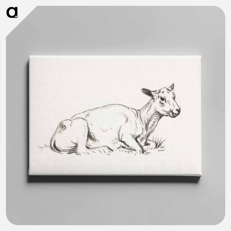 アートパネル-Lying shaved sheep - ジャン ベルナール Canvas.