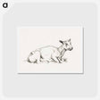 アートポストカード-Lying shaved sheep - ジャン ベルナール Postcard.