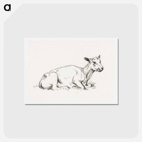 アートポストカード-Lying shaved sheep - ジャン ベルナール Postcard.