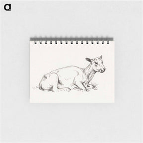 アートメモ帳-Lying shaved sheep - ジャン ベルナール Memo.