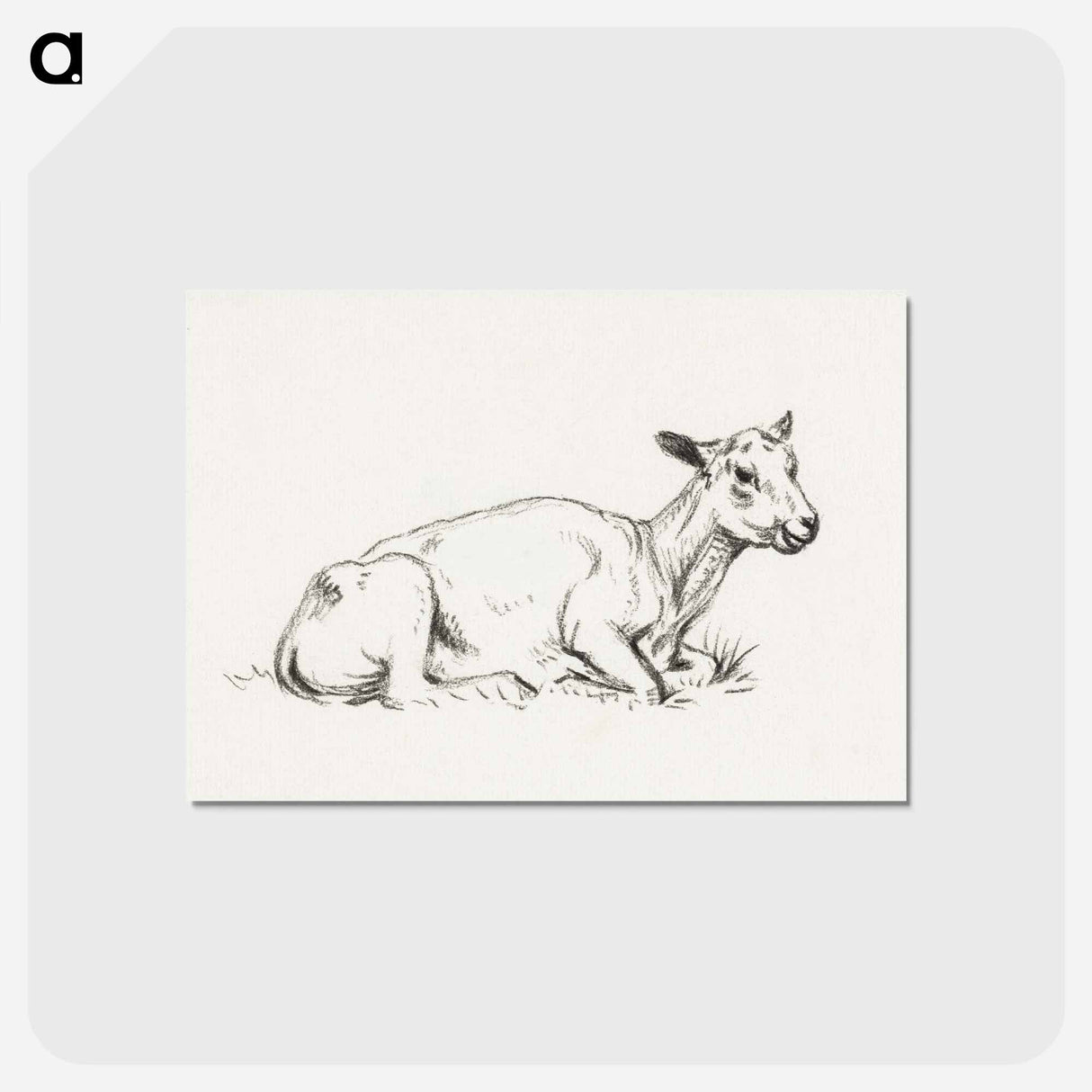 アートポストカード-Lying shaved sheep - ジャン ベルナール Postcard.