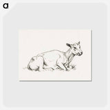 アートポストカード-Lying shaved sheep - ジャン ベルナール Postcard.