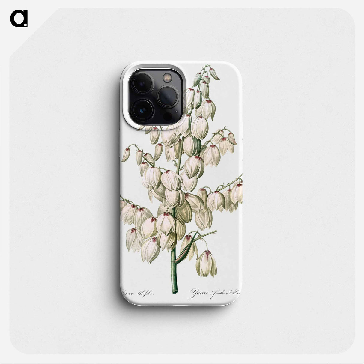 Aloe yucca illustration - ピエール ジョゼフ ルドゥーテ Phone Case.