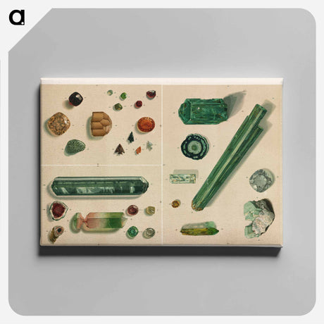 アートパネル-Minerals
 - ボストン公共図書館 Canvas.