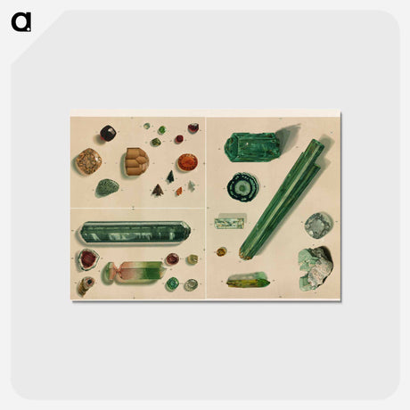 アートポストカード-Minerals
 - ボストン公共図書館 Postcard.