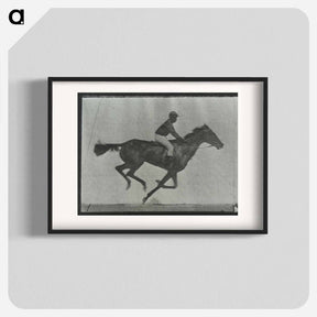 アートポスター-Galloping Horse and Rider
 - エドワード マイブリッジ Poster.