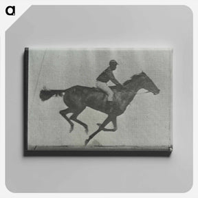アートパネル-Galloping Horse and Rider
 - エドワード マイブリッジ Canvas.