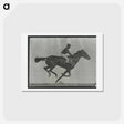 アートポストカード-Galloping Horse and Rider
 - エドワード マイブリッジ Postcard.