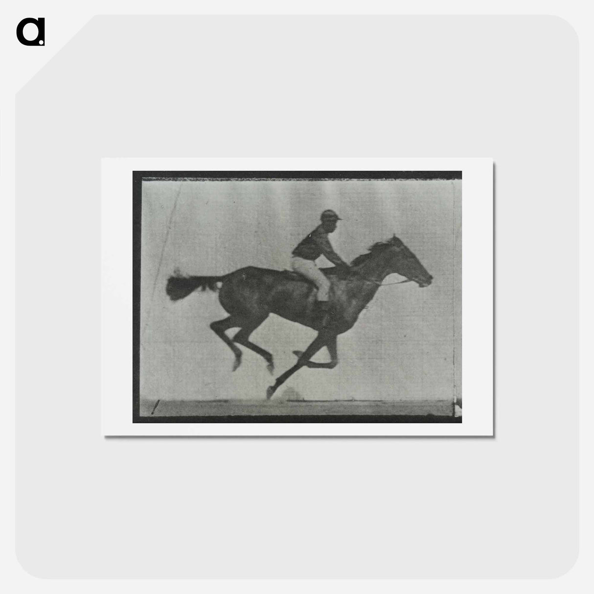 アートポストカード-Galloping Horse and Rider
 - エドワード マイブリッジ Postcard.