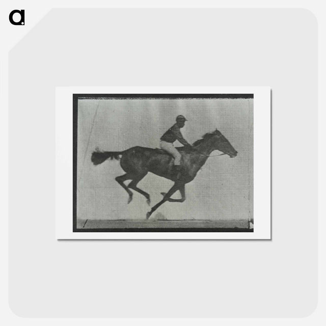 アートポストカード-Galloping Horse and Rider
 - エドワード マイブリッジ Postcard.