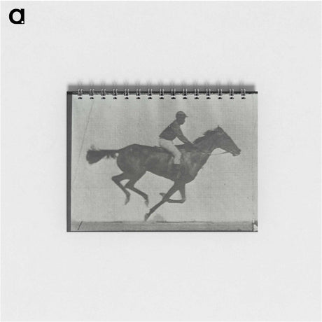 アートメモ帳-Galloping Horse and Rider
 - エドワード マイブリッジ Memo.