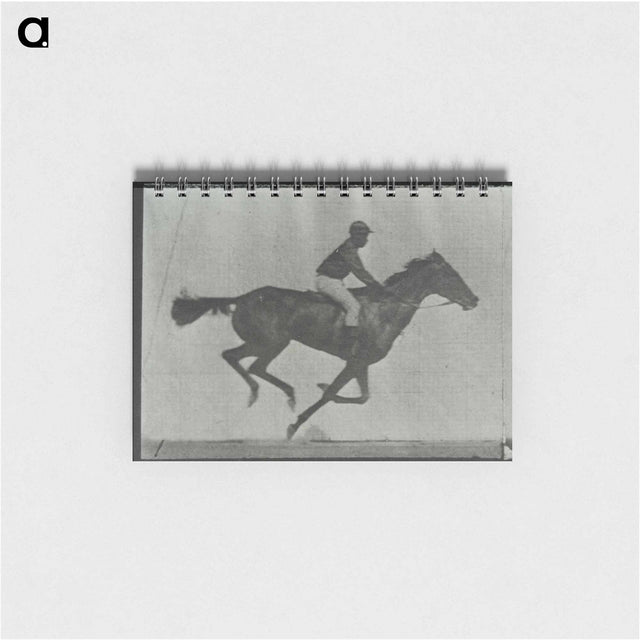 アートメモ帳-Galloping Horse and Rider
 - エドワード マイブリッジ Memo.