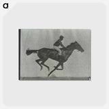 アートポストカード-Galloping Horse and Rider
 - エドワード マイブリッジ Postcard.