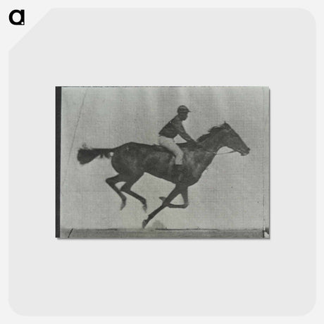 アートポストカード-Galloping Horse and Rider
 - エドワード マイブリッジ Postcard.