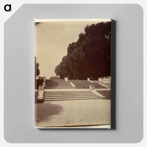 アートパネル-Parc de Saint-Cloud
 - ウジェーヌ アジェ Canvas.