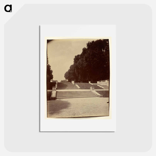Parc de Saint-Cloud
 - ウジェーヌ アジェ Postcard.
