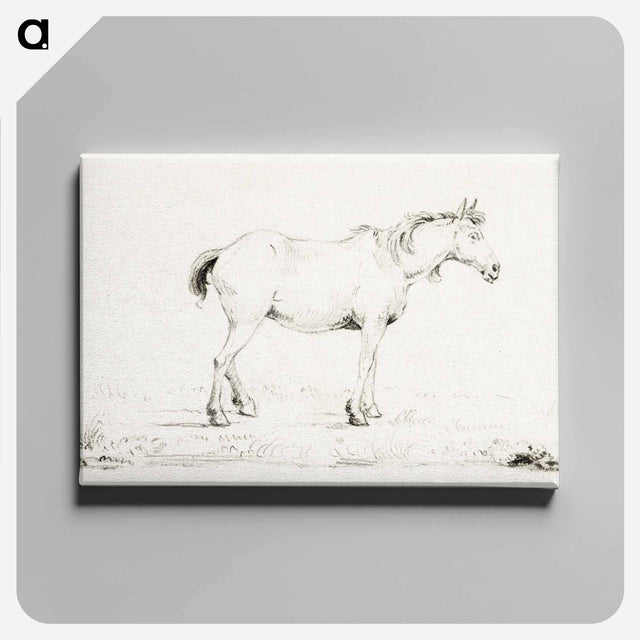 アートパネル-Standing horse - ジャン ベルナール Canvas.