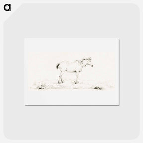 アートポストカード-Standing horse - ジャン ベルナール Postcard.