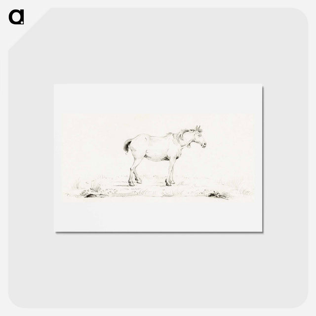 アートポストカード-Standing horse - ジャン ベルナール Postcard.